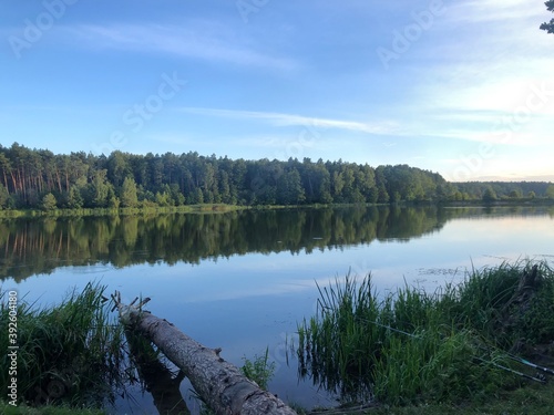 lake in the forest