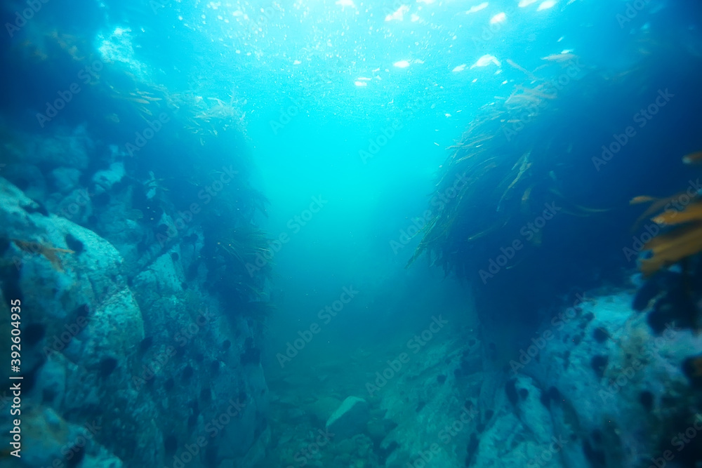 sea water texture, underwater background