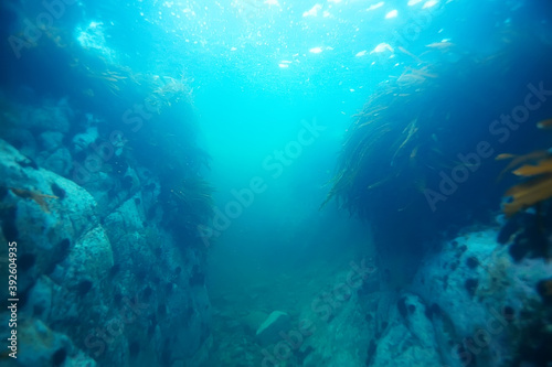 sea water texture  underwater background