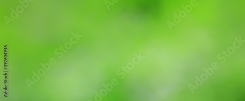 green background, panoramic view long blurred gradient green summer abstract