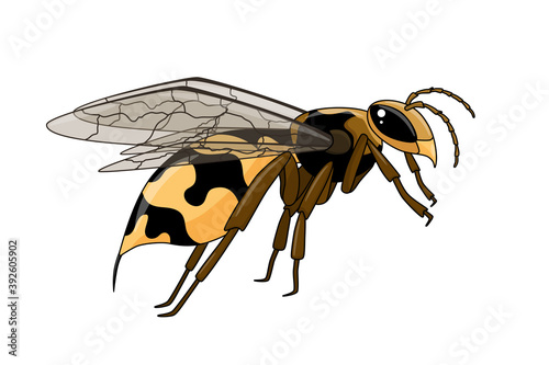 Wasp multicolored cartoon style. Stock vector illustration.