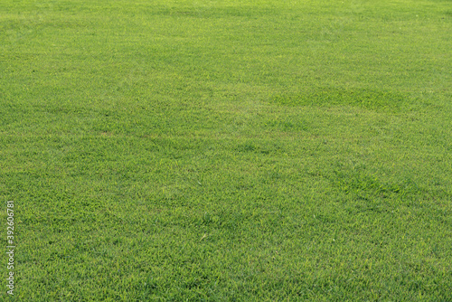Close-up of green grass background texture