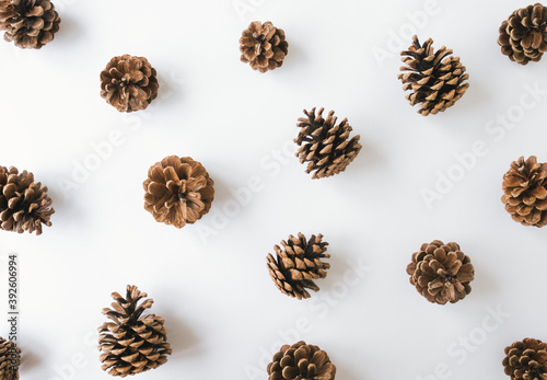 Top view of pinecones on white wooden background. Texture or background concept.
