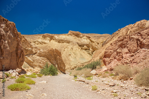 canyon desert environment space picturesque wilderness landscape scenic view dry clear weather summer day time in Middle East region Earth