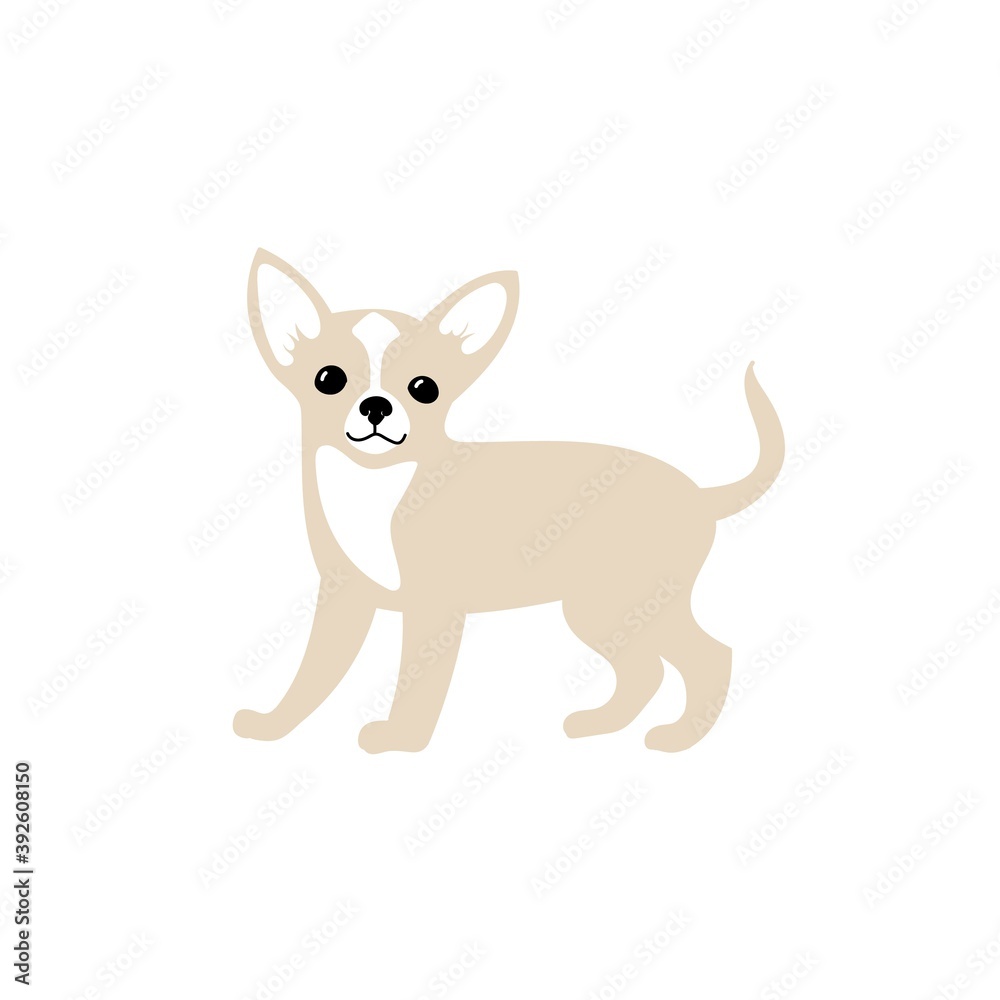 Vector cute chihuahua. Dog breeds. Doodle illustration isolated on white background
