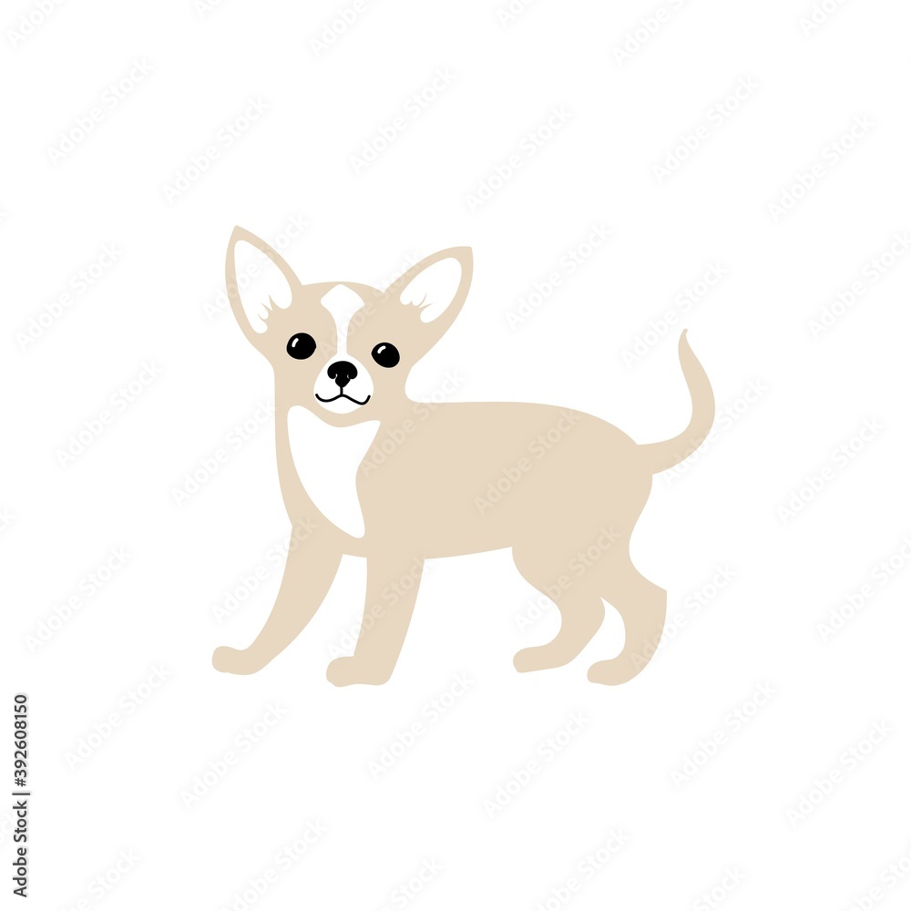 Vector cute chihuahua. Dog breeds. Doodle illustration isolated on white background Vector cute chihuahua. Dog breeds. Doodle illustration isolated on white background