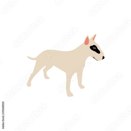 Vector cute bullterrier. Dog breeds. Doodle illustration isolated on white background