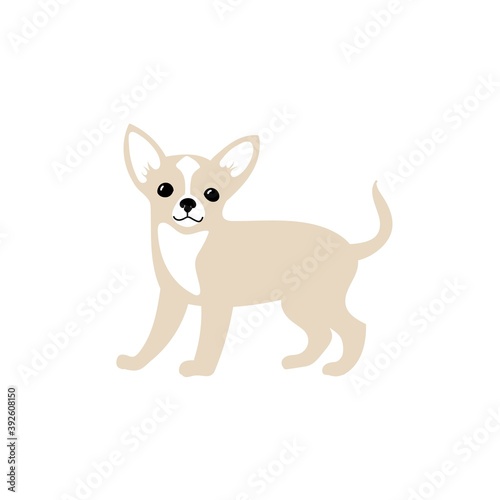 Vector cute chihuahua. Dog breeds. Doodle illustration isolated on white background