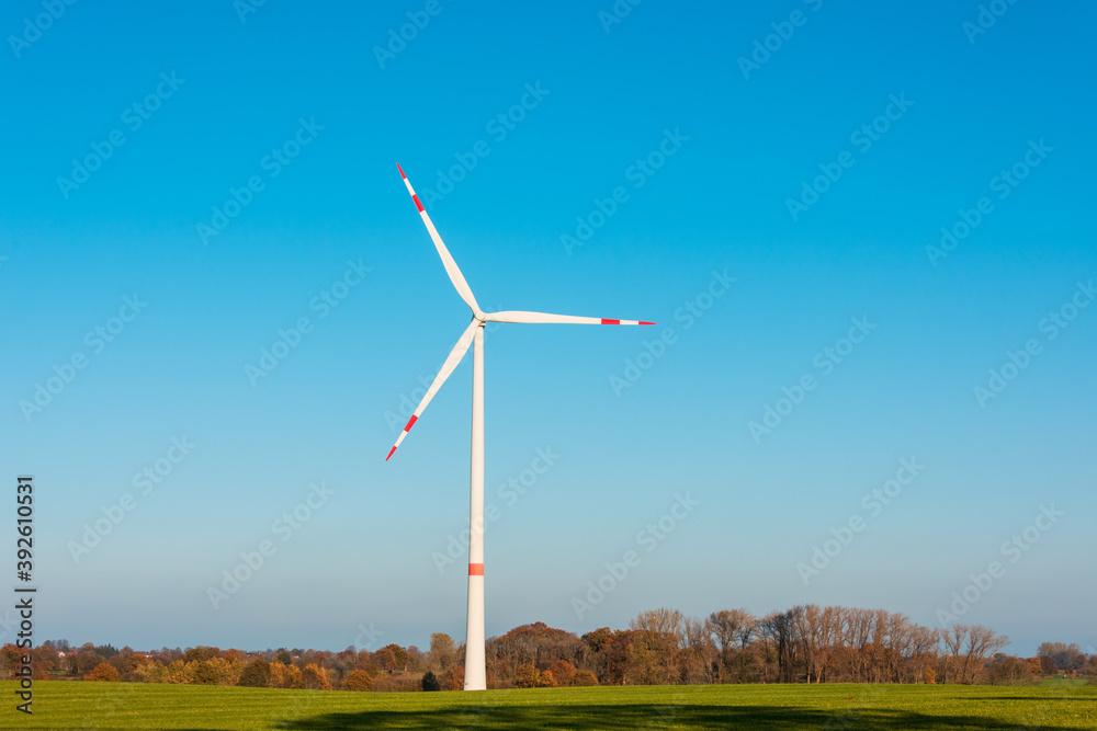 Windpark auf einem Feld in Schleswig-Holstein im Herbst vor strahlend blauem Himmel