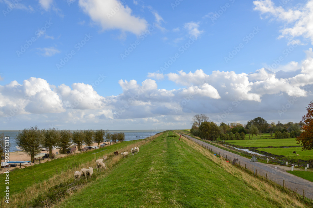 Fototapeta premium landscape in the country Warder