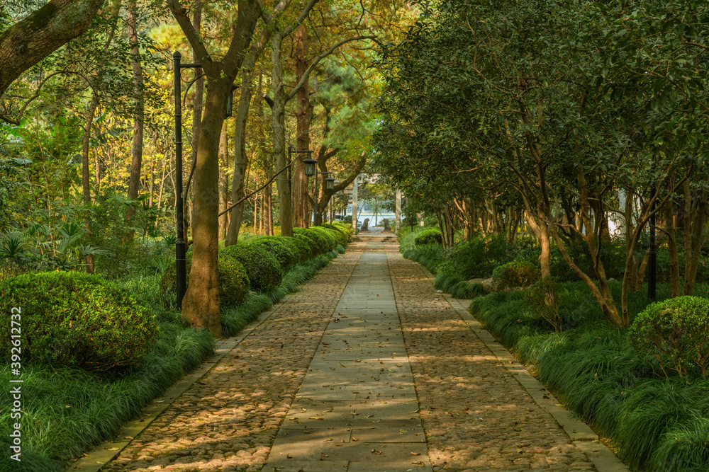 A small lane in a park in Hangzhou, autumn time.