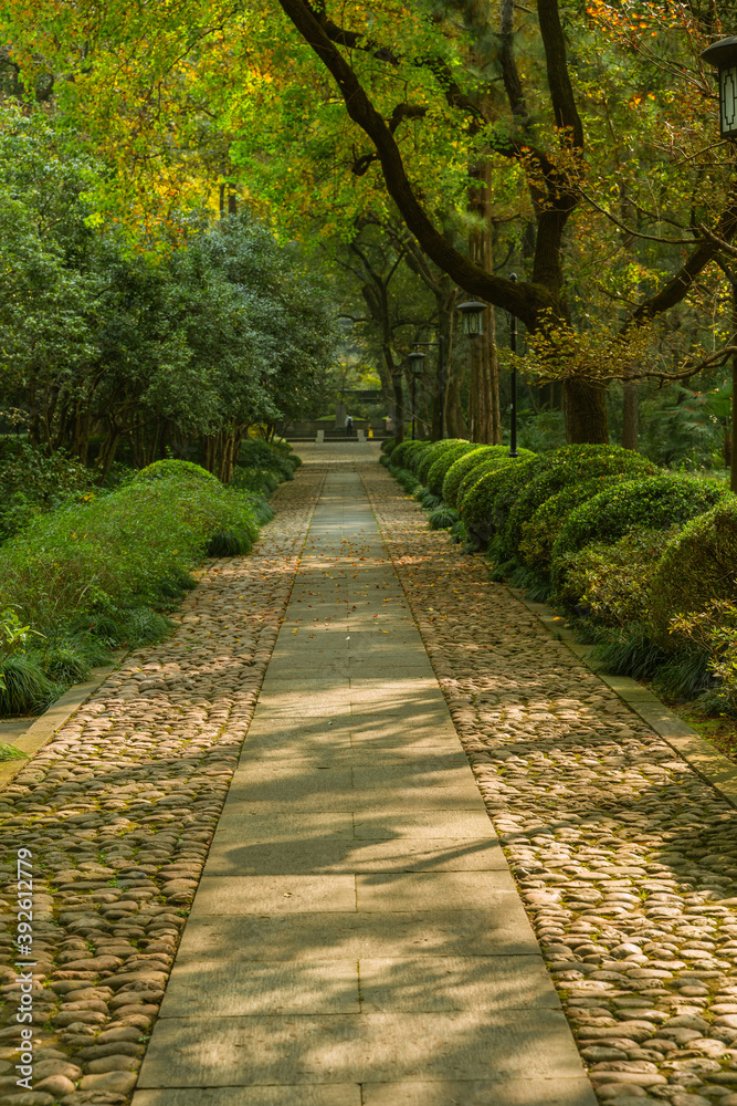 Obraz premium A small lane in a park in Hangzhou, autumn time.