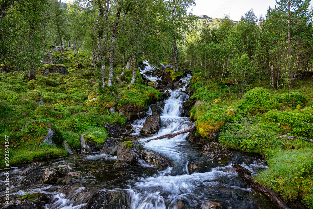 Waterfall with variations and a river Waterfall with variations and a river