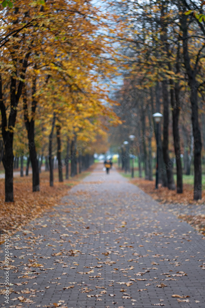 Kyiv, Ukraine – November 14 2020: Park Peremogy Beautiful bokeh of autumn park with the yellow trees in foggy weather