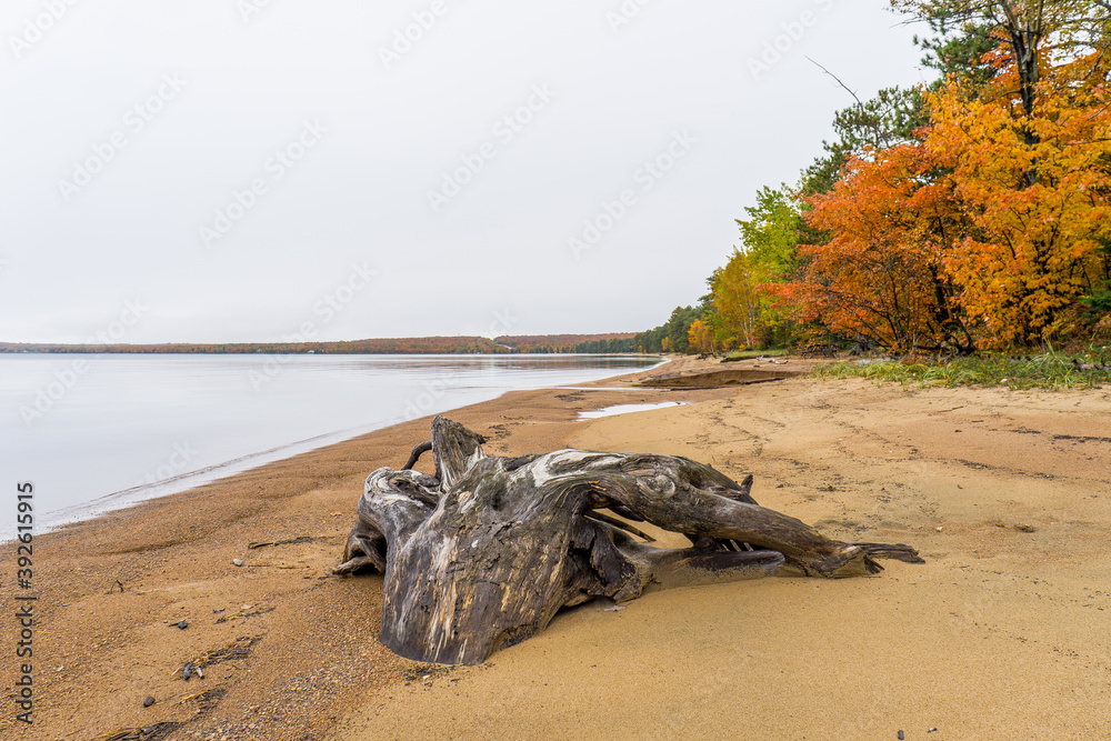 Batchawana Bay Provincial Park. A beach near Sault Sainte Marie, during fall Batchawana Bay Provincial Park. A beach near Sault Sainte Marie, during fall