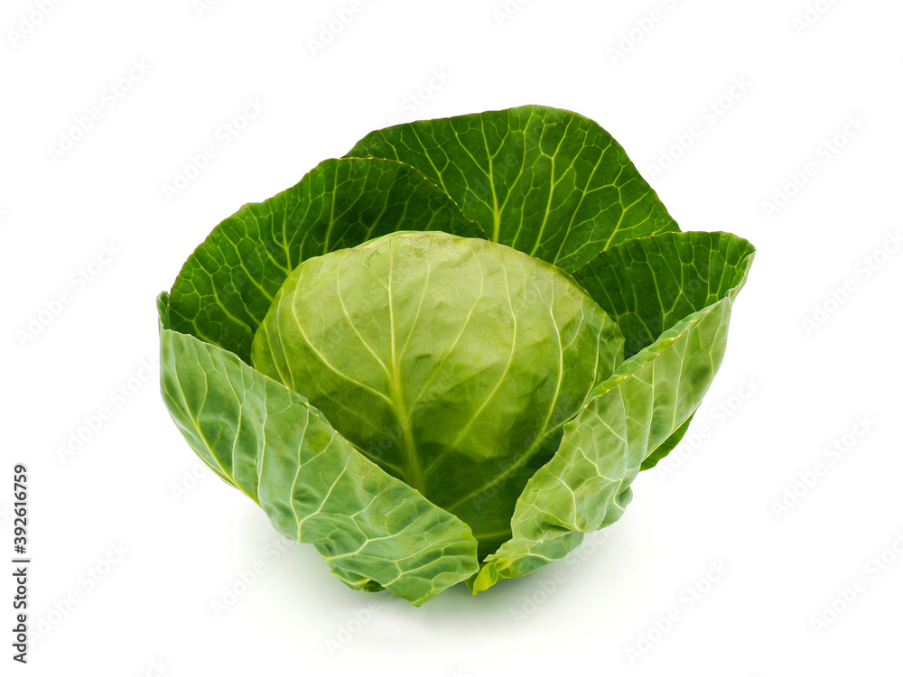 Green cabbage isolated on white background Green cabbage isolated on white background