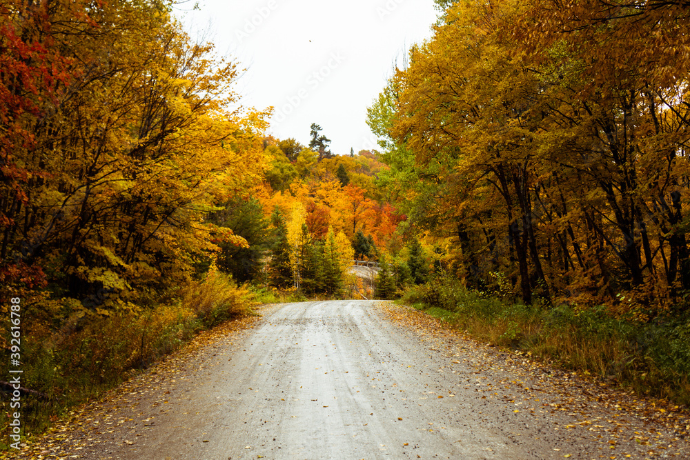 Small unpaved road in Ontario during fall