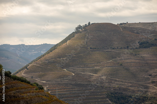 Autumn in Douro Valley  Portugal