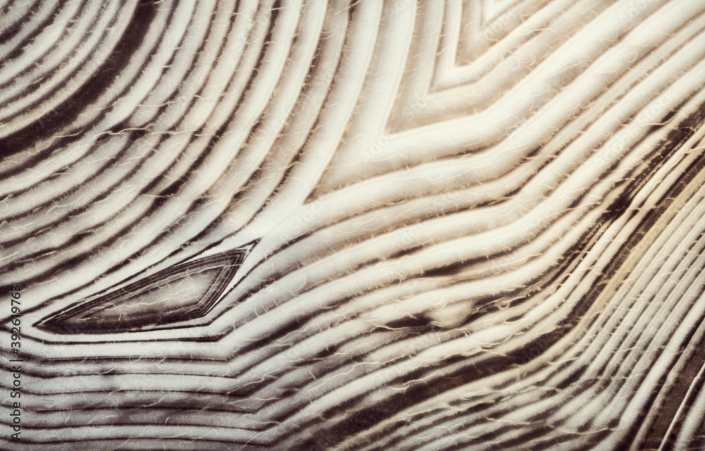 Fototapeta premium closeup of contrast agate grey dark and light lines