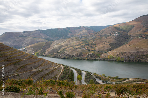 Fototapeta Naklejka Na Ścianę i Meble -  Autumn in Douro Valley, Portugal