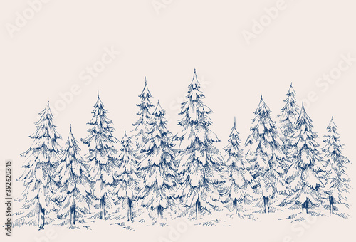 Pine forest hand drawn border. Winter landscape