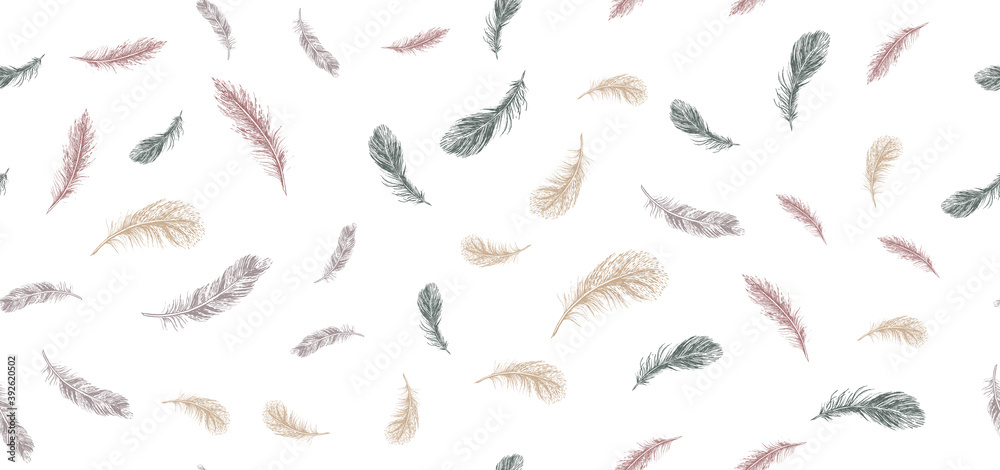 Set of bird feathers. Hand drawn sketch style.