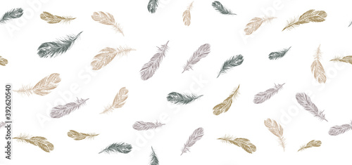 Set of bird feathers. Hand drawn sketch style.