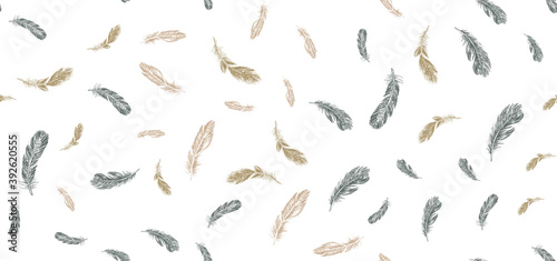 Set of bird feathers. Hand drawn sketch style.
