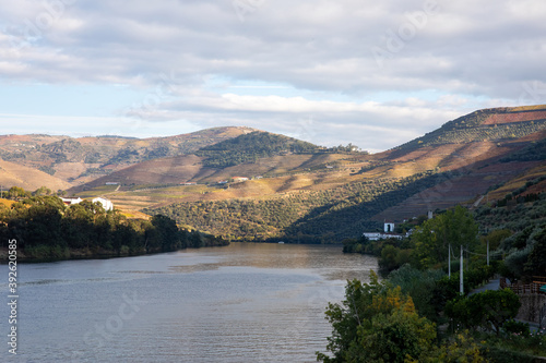 Autumn in Douro Valley  Portugal