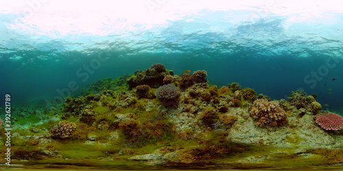 Tropical fishes and coral reef at diving. Beautiful underwater world with corals and fish. 360 panorama VR © Alex Traveler