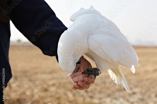 한국공원에서만난앵무새동호회회원들과같이찍은사잔입니다 photo