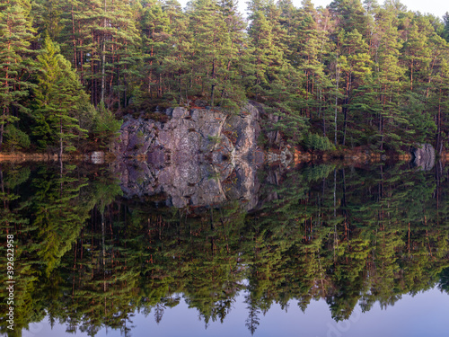 Fototapeta Naklejka Na Ścianę i Meble -  Coniferous trees and rock reflecting in a calm forest lake. It is November in Sweden