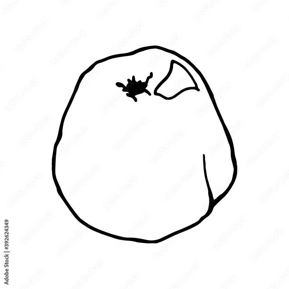 Apple slice, black outline on a white background. Linear vector drawing. Element for the design of cards, prints, textiles and background. Apple slice, black outline on a white background. Linear vector drawing. Element for the design of cards, prints, textiles and background.