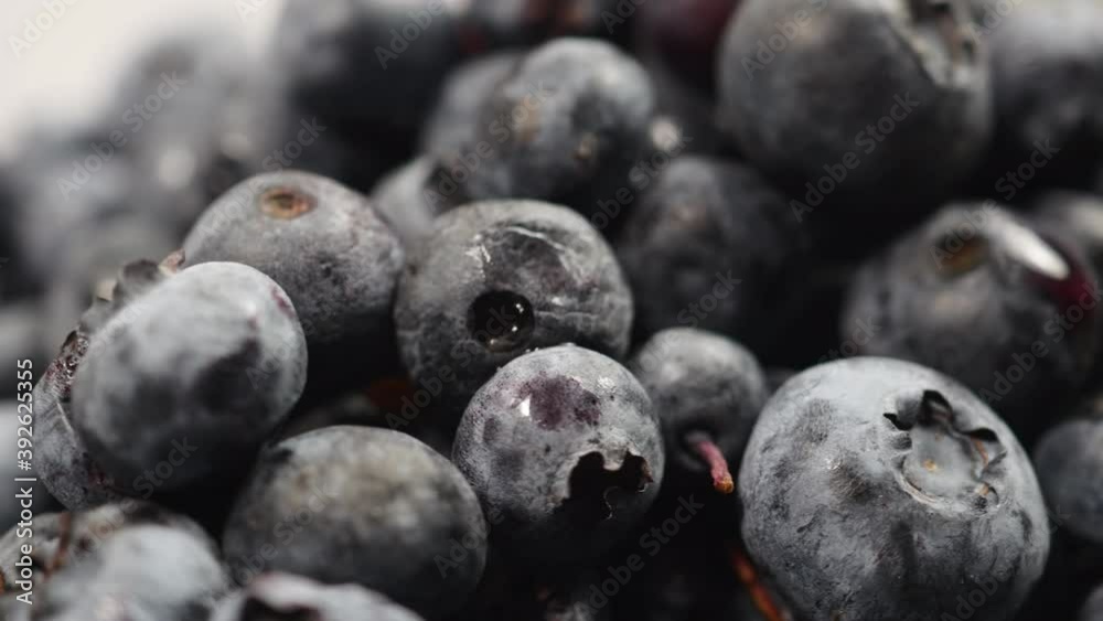 Blueberries On A White Plate Rotate On A White Background. Blueberries On A White Plate Rotate On A White Background.
