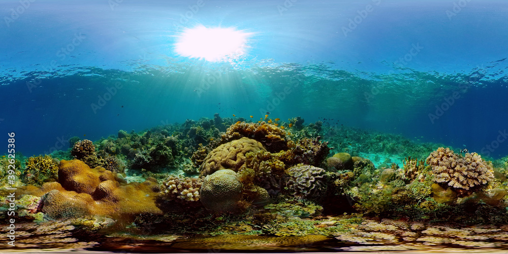 Beautiful underwater landscape with tropical fishes and corals. Life coral reef. Reef Coral Garden Underwater. Philippines. 360 panorama VR Beautiful underwater landscape with tropical fishes and corals. Life coral reef. Reef Coral Garden Underwater. Philippines. 360 panorama VR