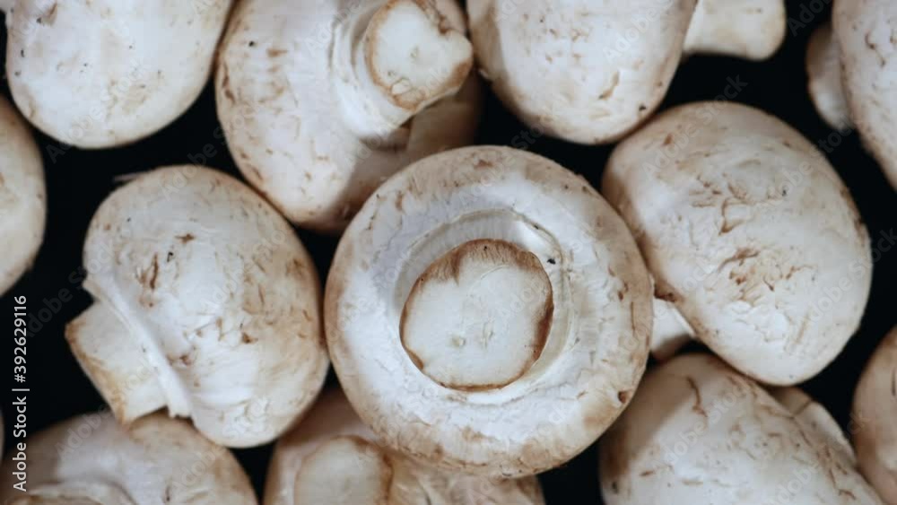 Close Up Of Royal Champignon Mushrooms Rotating On A Black Background. Top View . Close Up Of Royal Champignon Mushrooms Rotating On A Black Background. Top View .