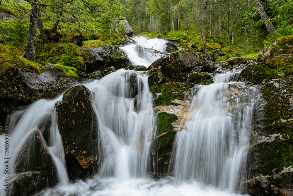 Soft waterfall in a green forest