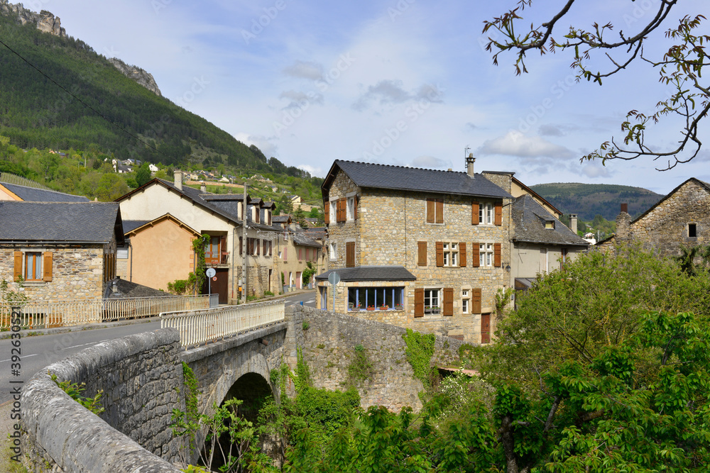 Molines (48320 Ispagnac) depuis le pont de Rue Haute (D907 bis), Lozère en Occitanie, France