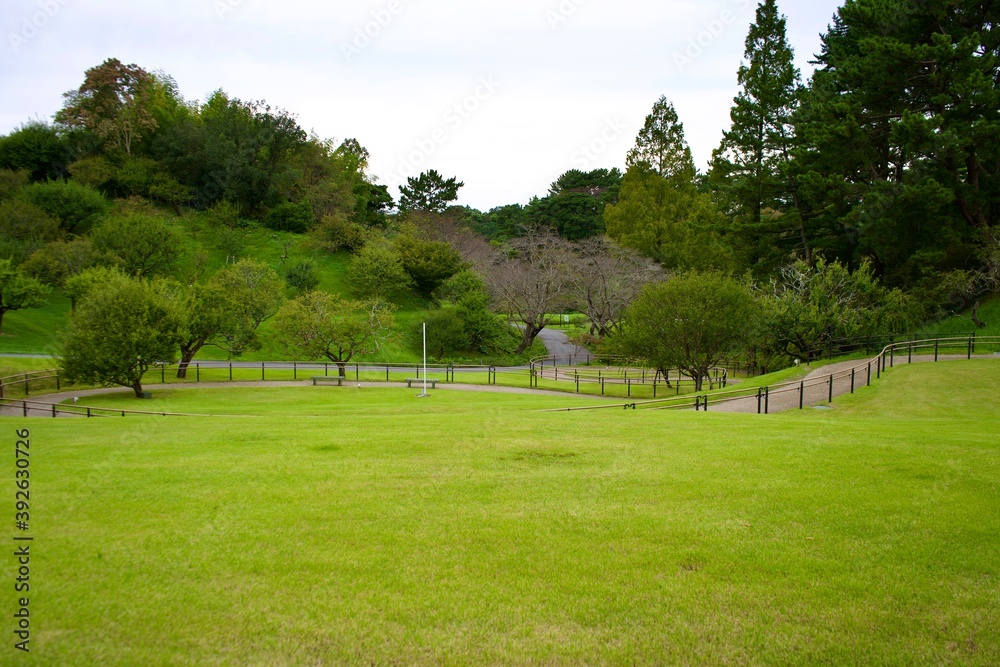 The view of grass field at garden in Shizuoka.