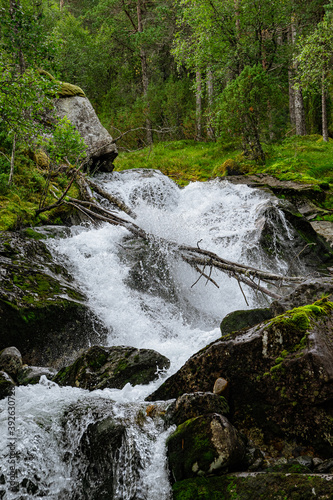 Branch over a waterfall in Norway