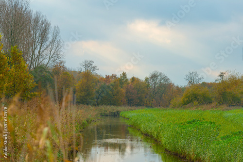 Canal in a forest in fall colors in wetland in sunlight in autumn, Almere, Flevoland, The Netherlands, November 14, 2020