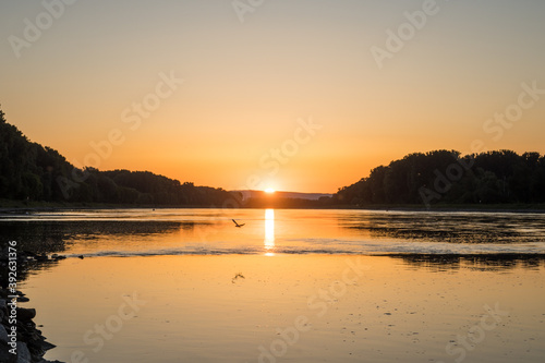 Sonnenaufgang am Rhein bei Germersheim, Deutschland photo