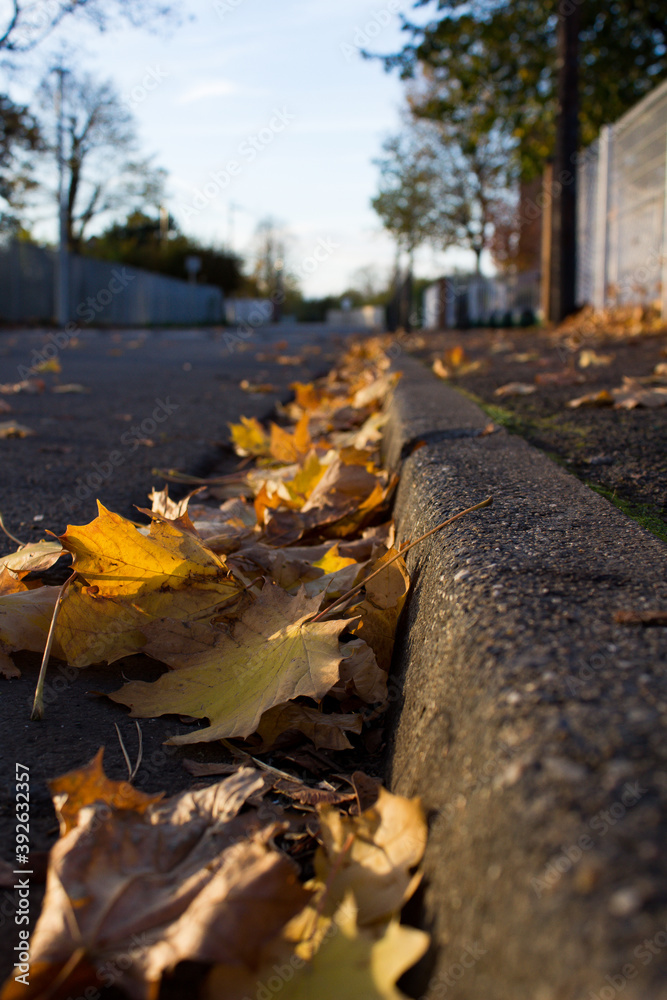 feuille feuille