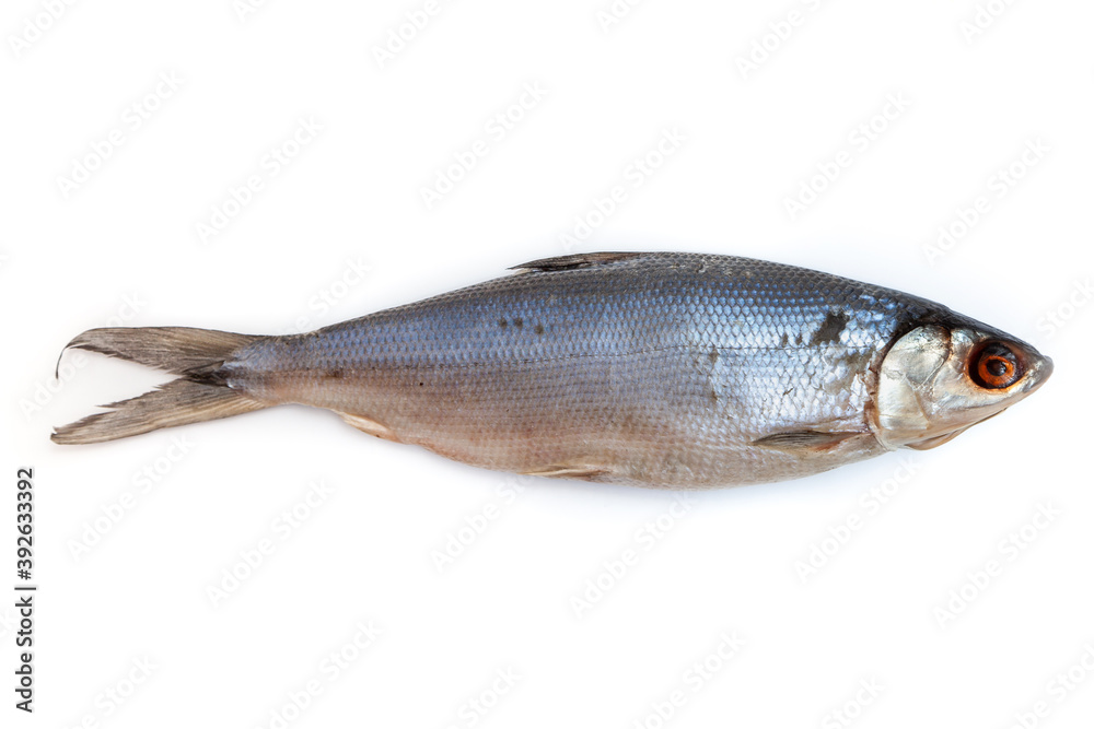 Salted omul lies on white paper Salted omul lies on white paper
