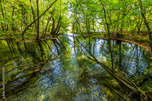 Plitvice lakes on a cloudy day photo