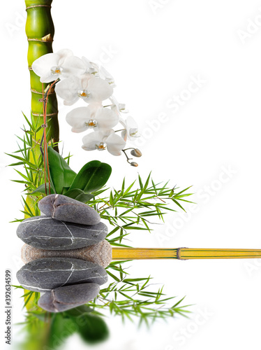 Composition aquatique zen, orchidée, pierres et bambous 