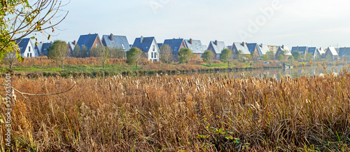 Urban nature: constructed wetland in a new residential area in densely populated Netherlands, in autumn photo