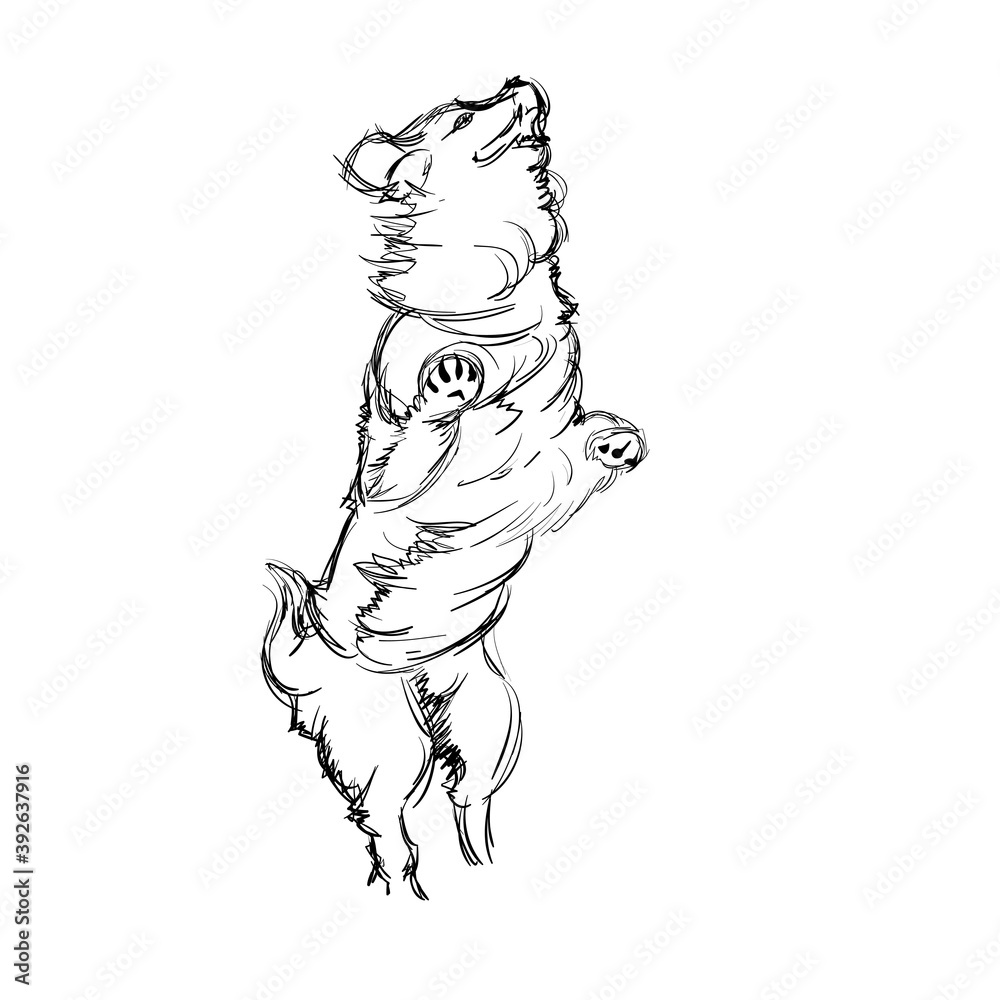 Fototapeta premium A Dog Stands on its Hind Legs. A Cute Shaggy Dog. Vector Illustration of a Beautiful Sketched Labrador-Retriever. Freehand Monochrome Drawing. Linear Sketch. Realistic Style. Animal Art for Kids Sketc