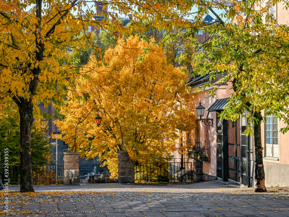 Naklejka premium Entrance gate to waterfront park Strömparken during fall in Norrköping. Norrköping is a historic industrial town in Sweden