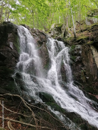 Cascate del Dardagna photo